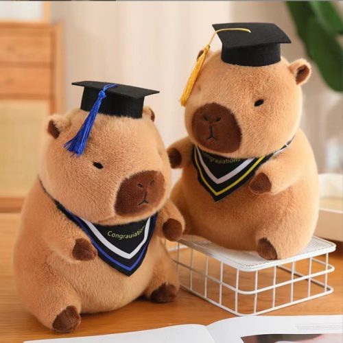 25cm Capybara Graduate Plush Toy