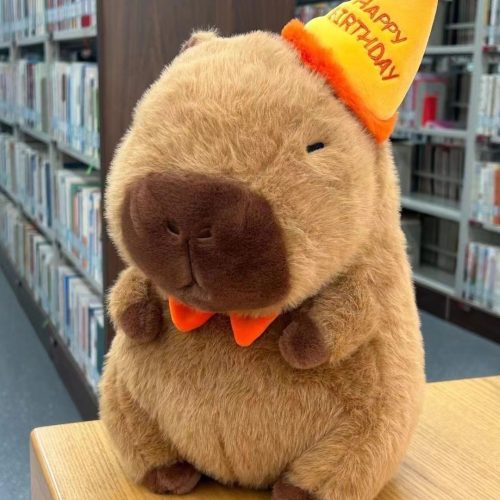 25cm Capybara Birthday Party Plush Toy